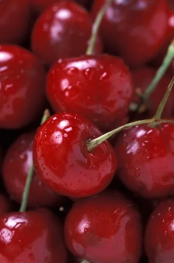 Produits de saison