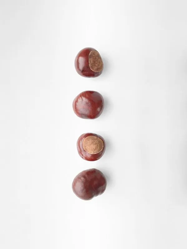 Produits de saison