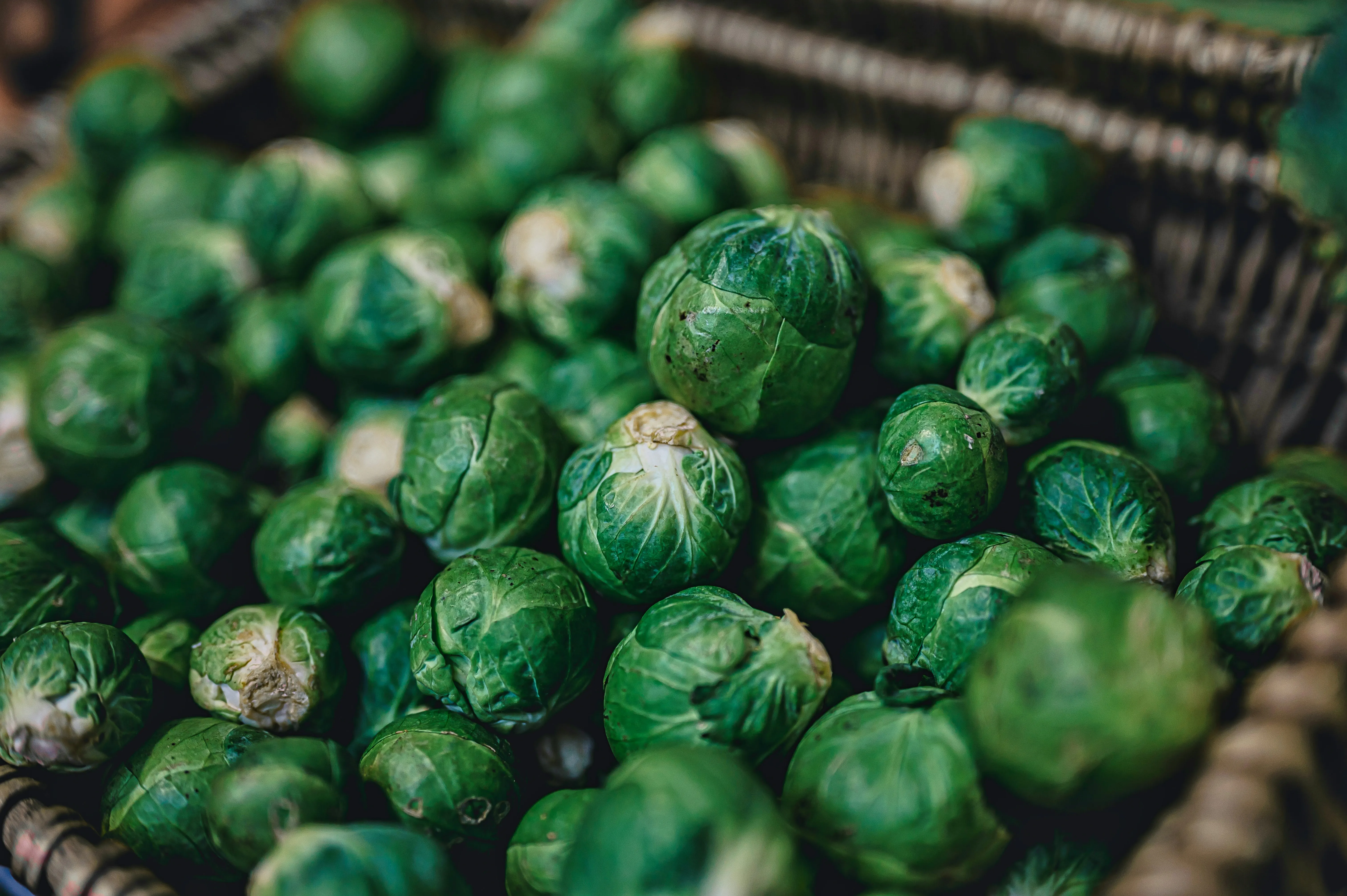 Produits de saison
