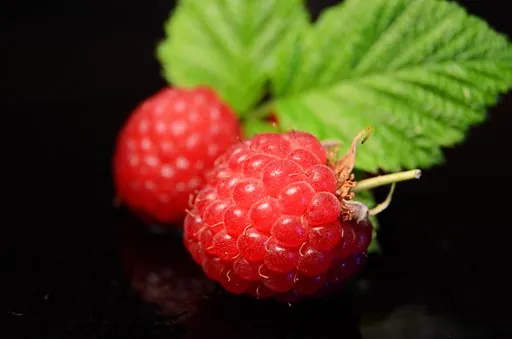 Produits de saison
