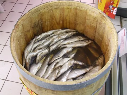 Produits de saison