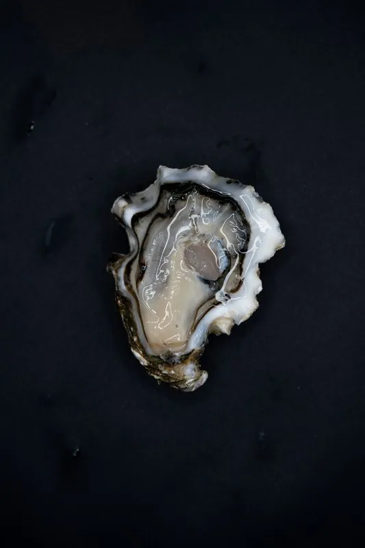 Produits de saison