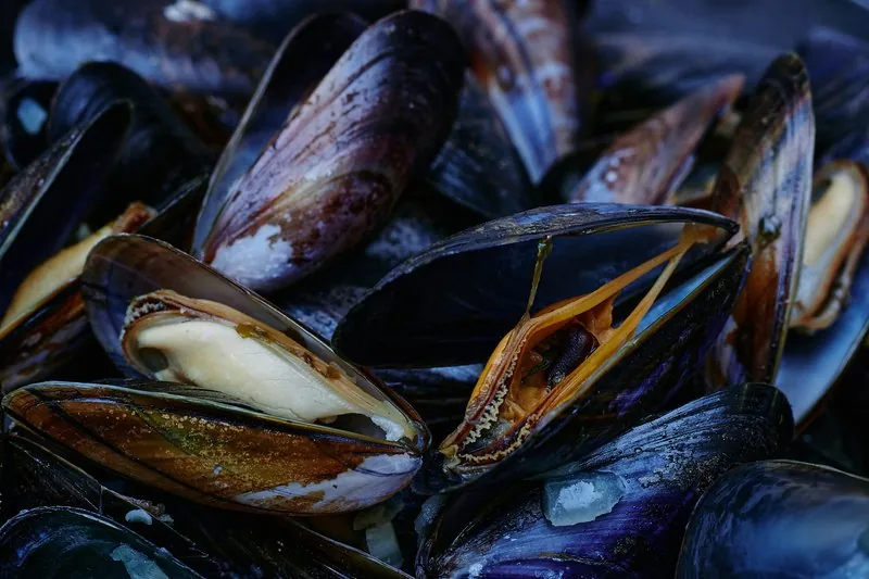 Produits de saison