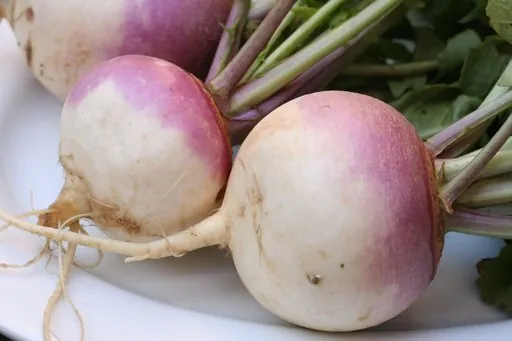 Produits de saison