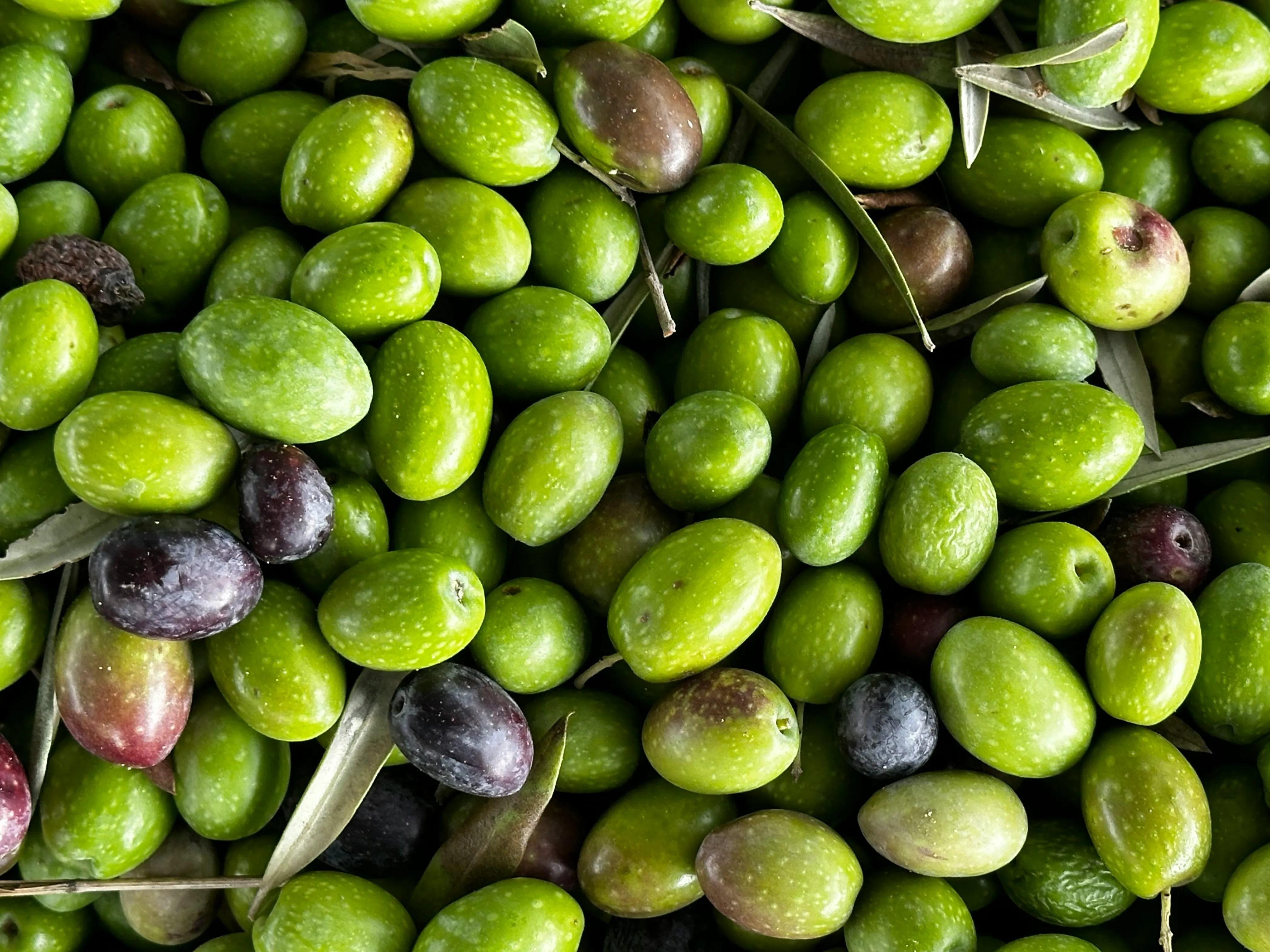 Produits de saison