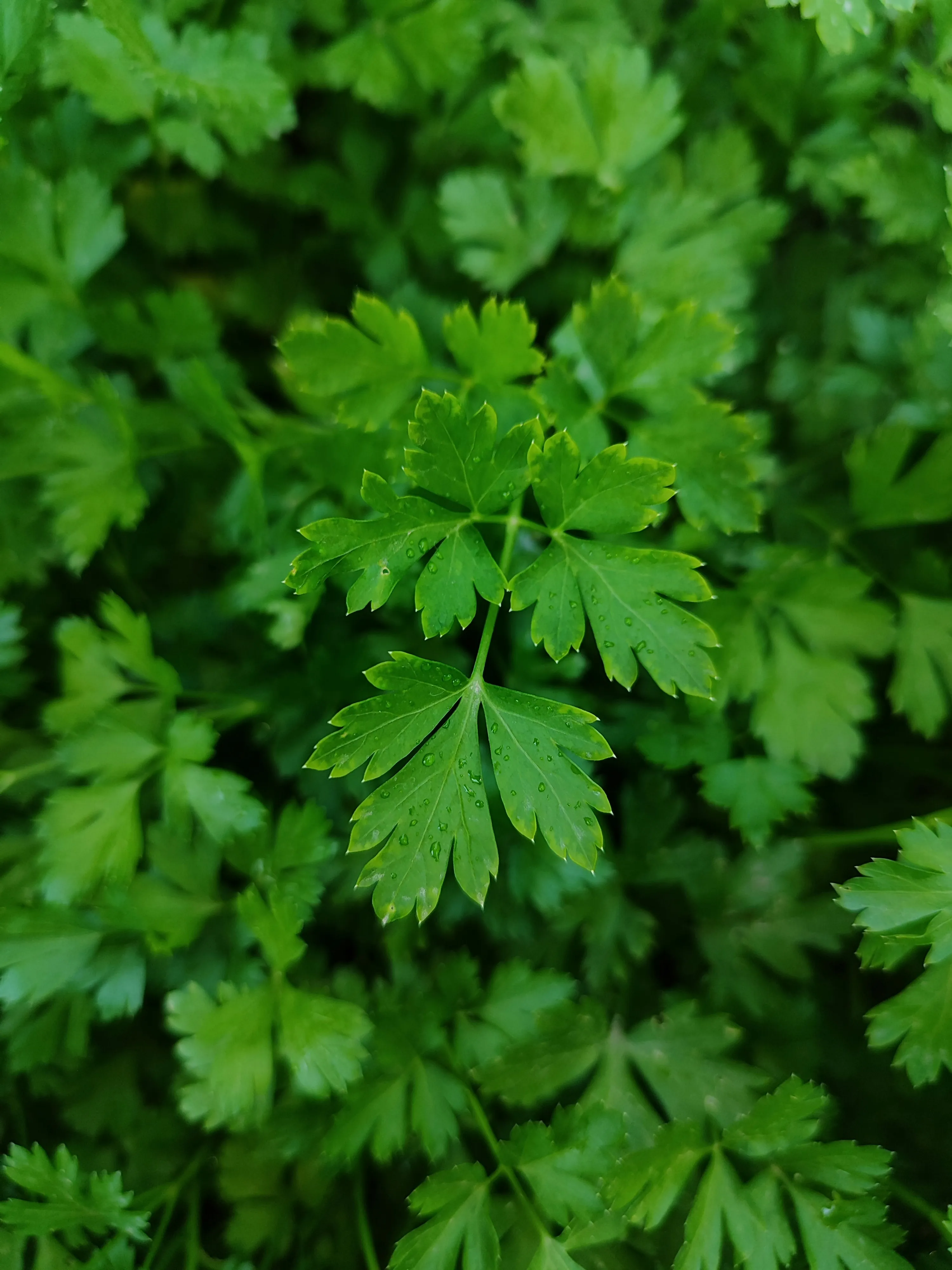 Produits de saison