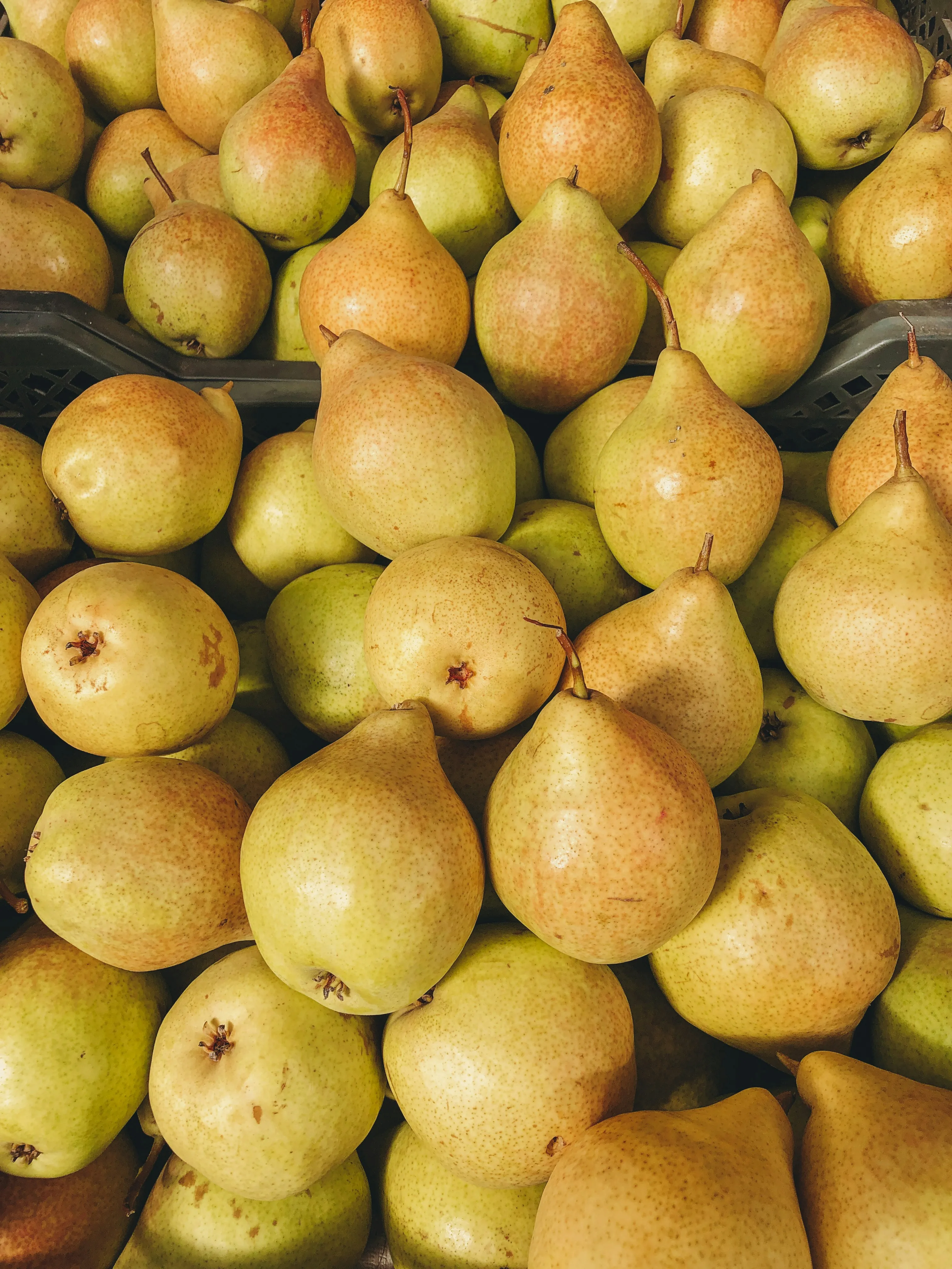 Produits de saison