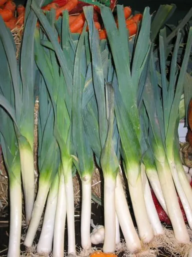 Produits de saison