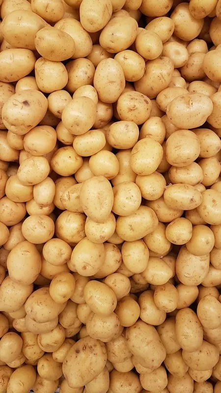 Produits de saison