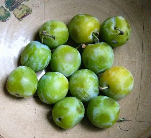 Produits de saison