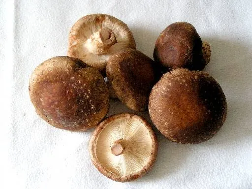 Produits de saison