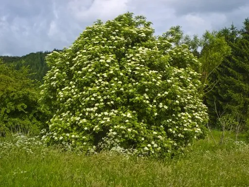 Produits de saison